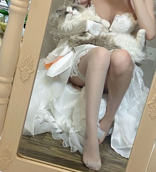 国产最爽乱婬视频免费_1080P免费高清观看